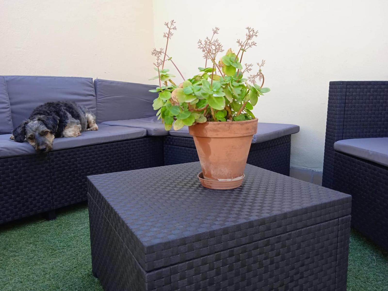 Apartamento Nano Tarifa Exterior foto